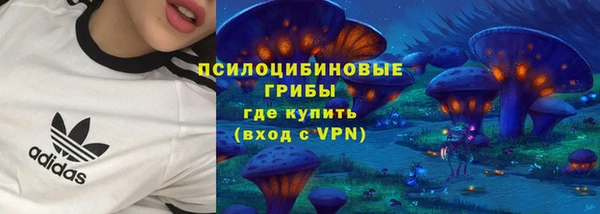 молекула духа Алзамай