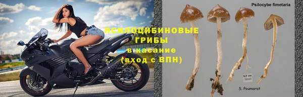 молекула духа Алзамай