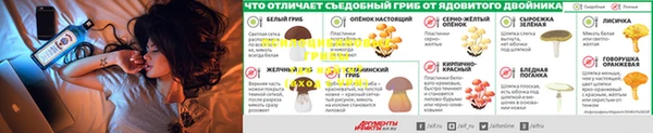 молекула духа Алзамай