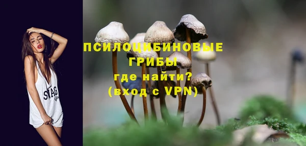 винт Алексеевка