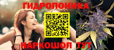 ECSTASY Донской