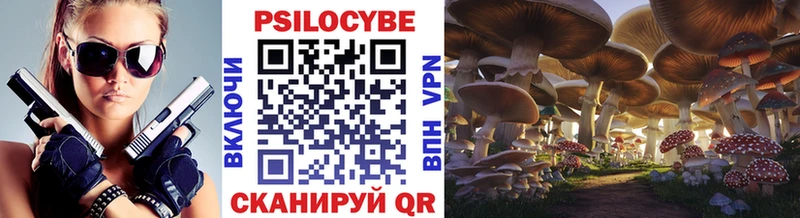 Галлюциногенные грибы Psilocybine cubensis  где купить   Сорочинск 