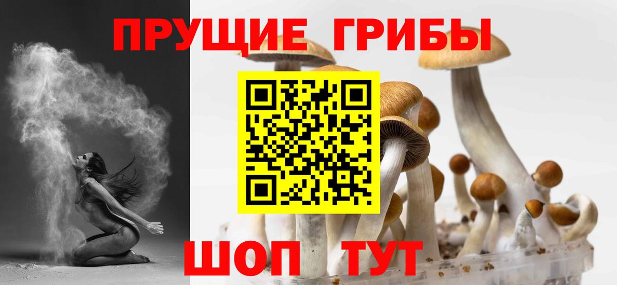 Галлюциногенные грибы MAGIC MUSHROOMS  Галлюциногенные грибы Magic Shrooms  Сорочинск  Вход с VPN 